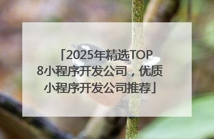 2025年精选TOP8小程序开发公司，优质小程序开发公司推荐