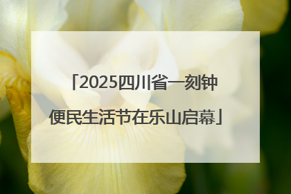 2025四川省一刻钟便民生活节在乐山启幕