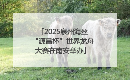 2025泉州海丝“源昌杯”世界龙舟大赛在南安举办