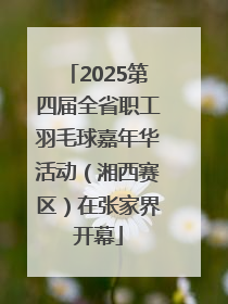 2025第四届全省职工羽毛球嘉年华活动（湘西赛区）在张家界开幕