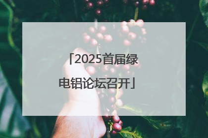 2025首届绿电铝论坛召开