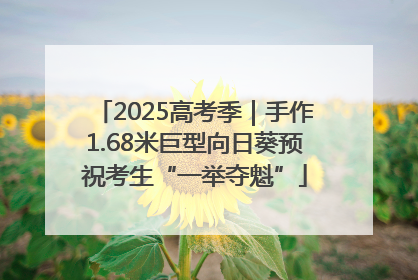 2025高考季｜手作1.68米巨型向日葵预祝考生“一举夺魁”