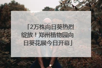 2万株向日葵热烈绽放！郑州植物园向日葵花展今日开幕