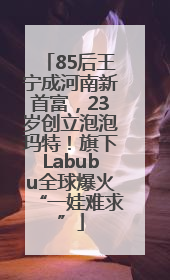 85后王宁成河南新首富，23岁创立泡泡玛特！旗下Labubu全球爆火“一娃难求”