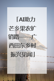 AI助力芒乡果农扩销路——广西田东乡村振兴见闻